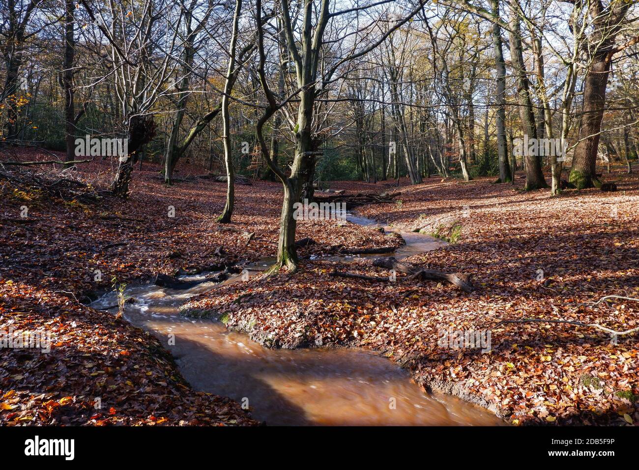 Epping Essex High Resolution Stock Photography and Images Alamy