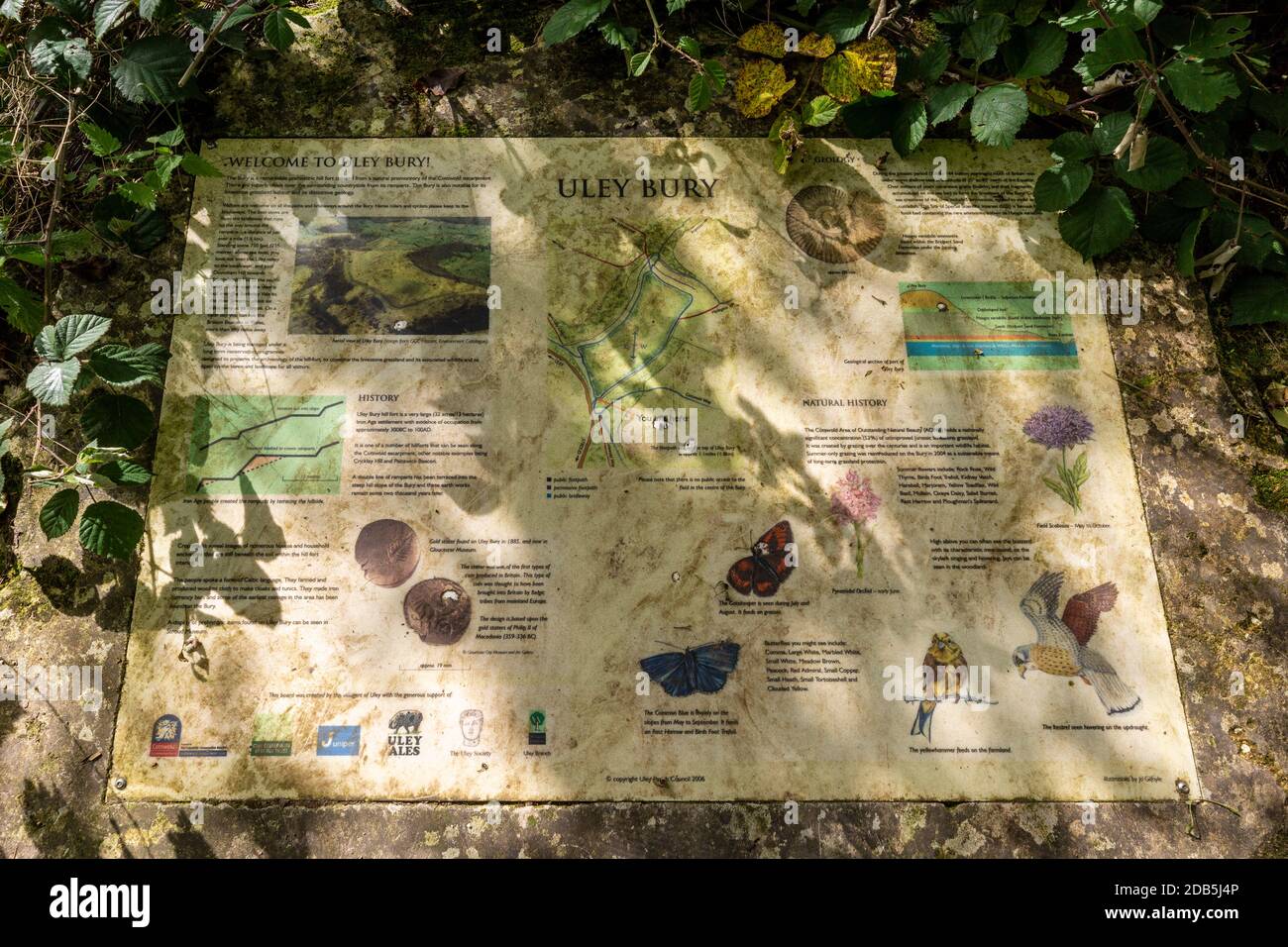 The weathered information board at Uley Bury explaining the geology