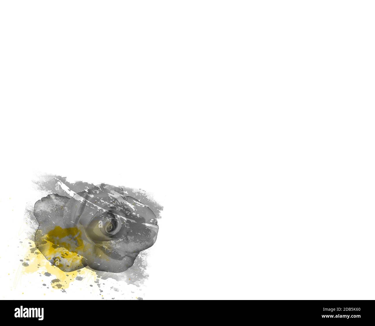 Watercolours cover a rose, in grey and yellow tones Stock Photo