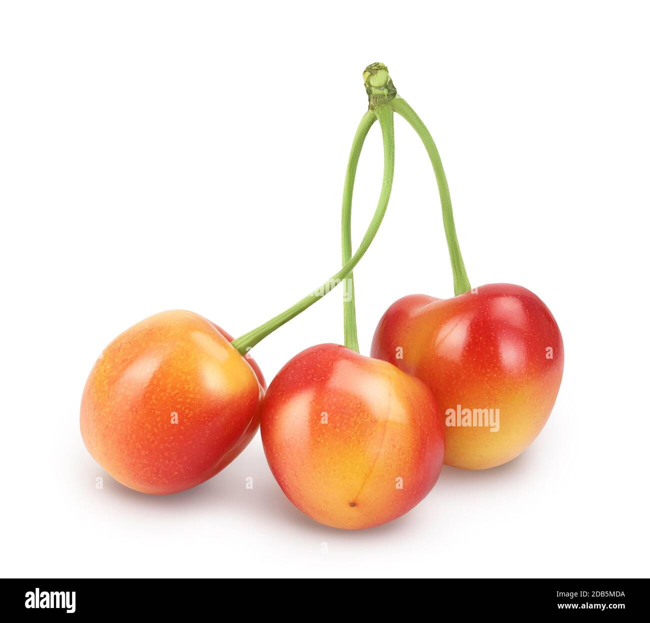yellow-red sweet cherry isolated on white background with clipping path ...
