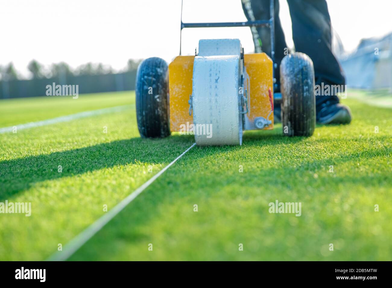 Lining a football pitch using white paint on grass Stock Photo Alamy