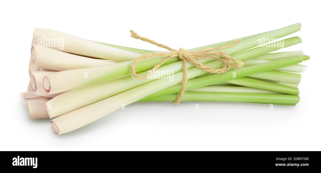 fresh-lemongrass-isolated-on-white-background-with-clipping-path-and