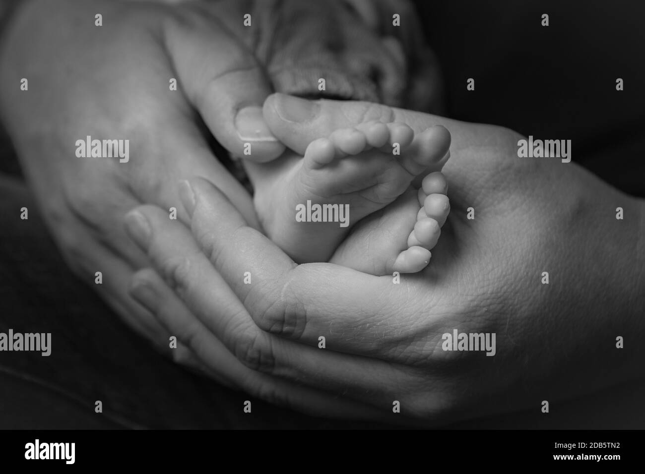 newborn hand and feet Stock Photo