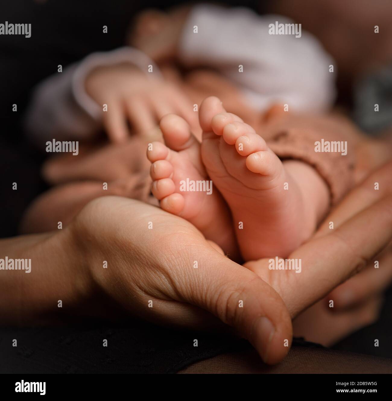newborn hand and feet Stock Photo Alamy