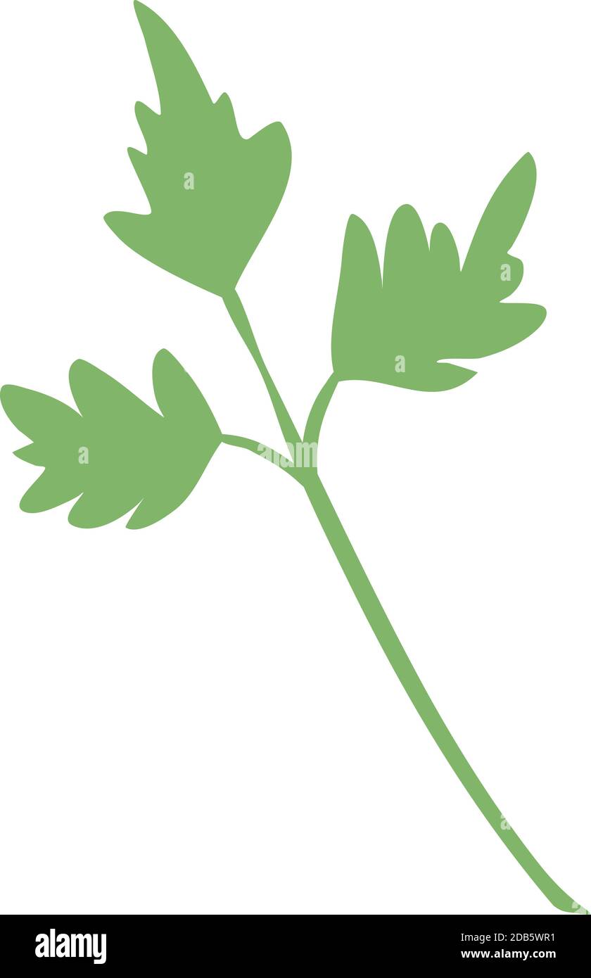 Farm parsley icon, cartoon and flat style Stock Vector Image & Art - Alamy