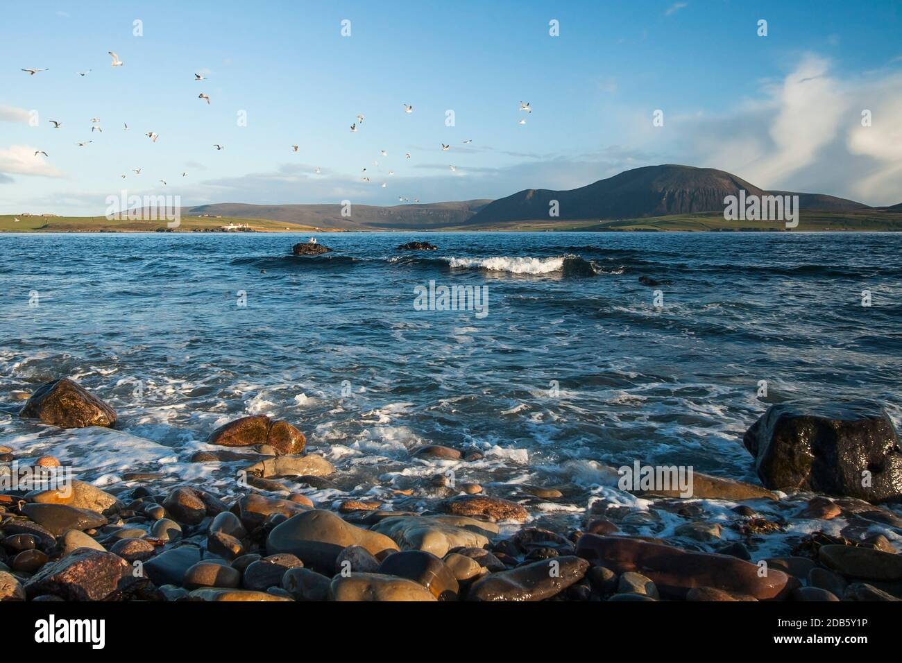Blue Atlantic ocean waves crashing on Orkney shore in bright afternoon light Stock Photo