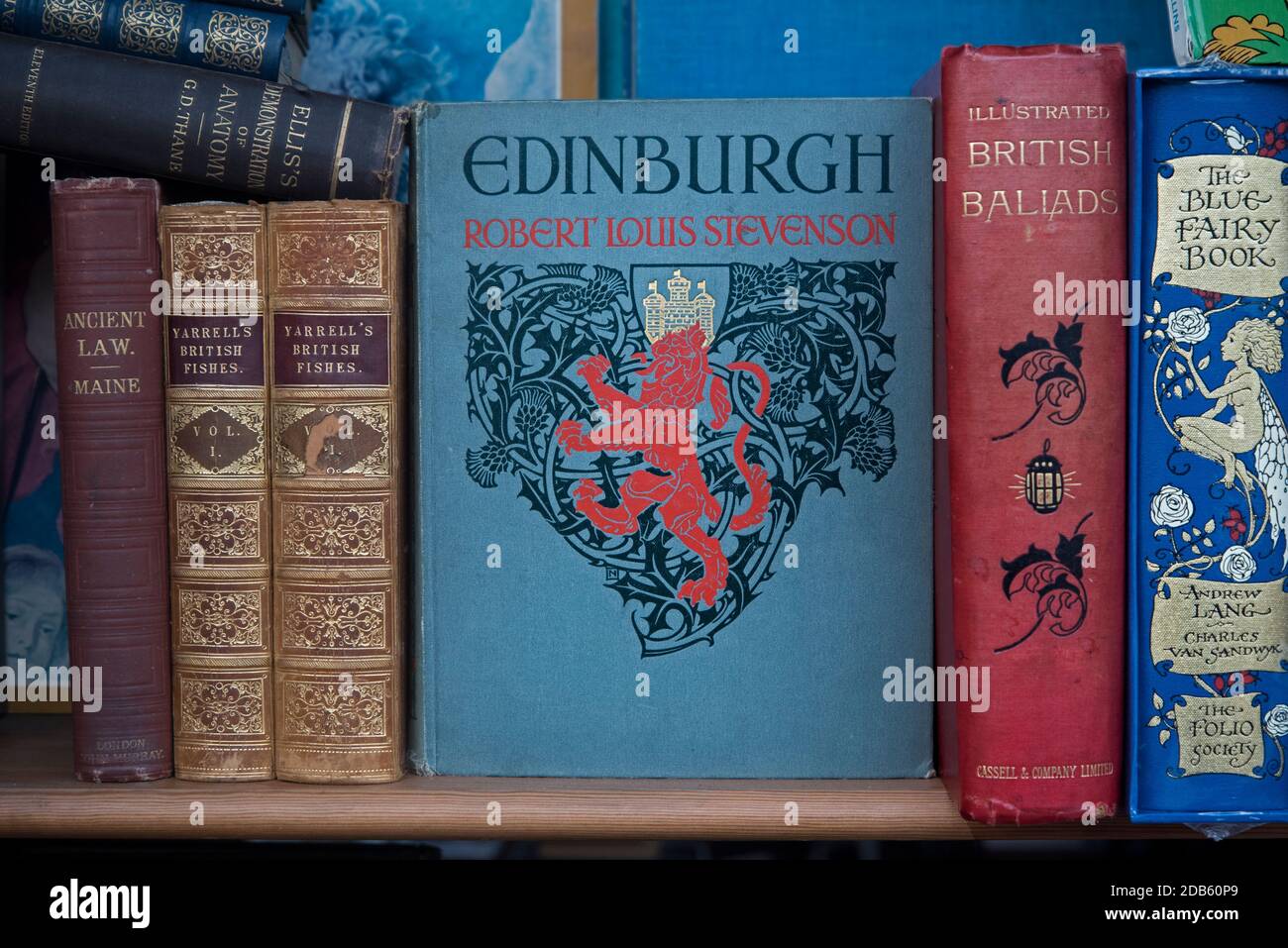 Shelf of vintage books in a secondhand bookshop, Edinburgh, Scotland, UK. Stock Photo