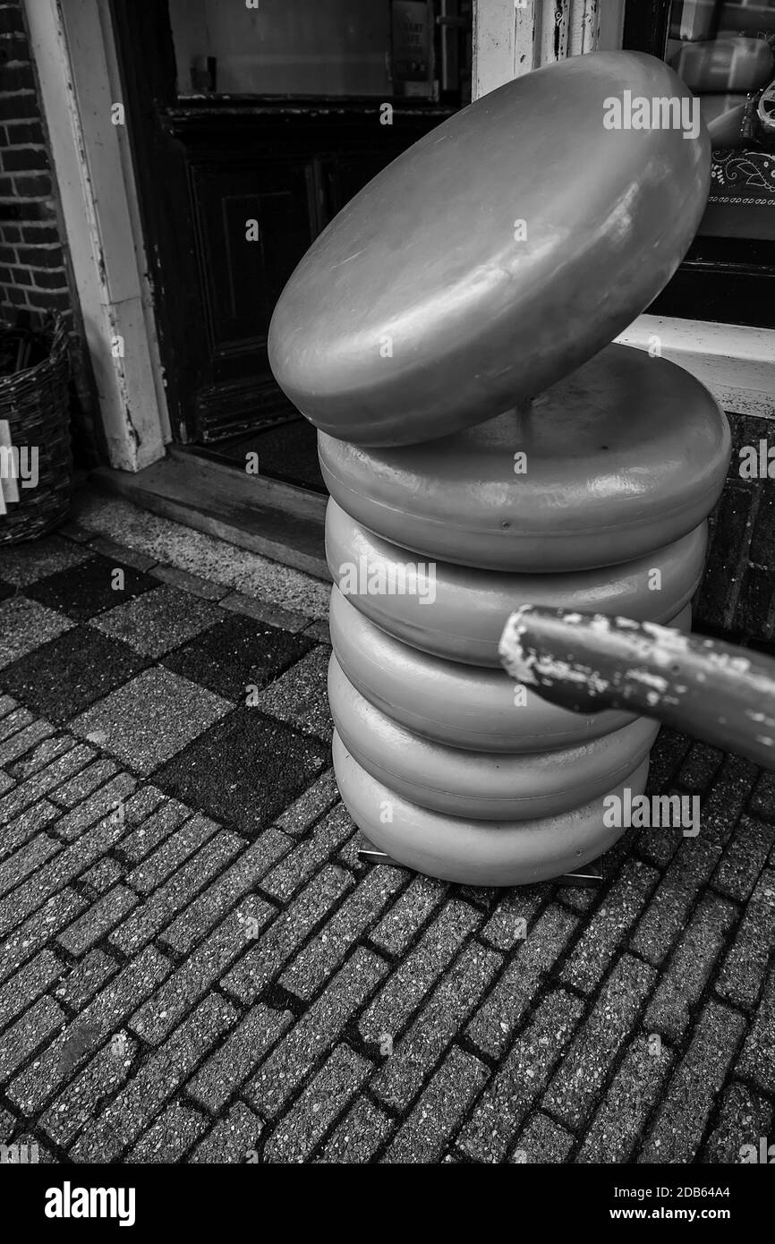 Artisan edam cheese, detail of Dutch cheese making Stock Photo