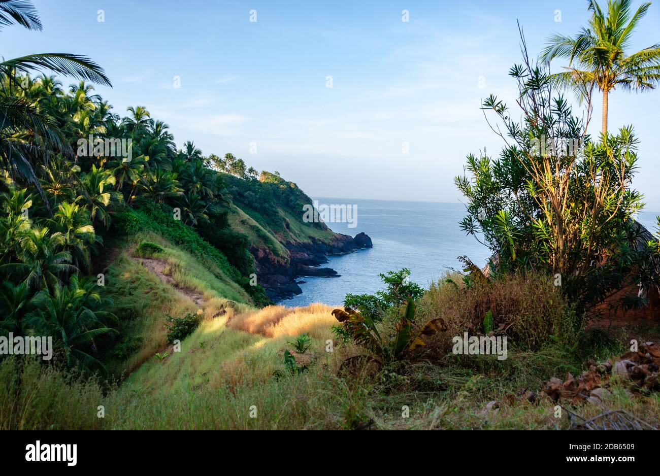 Beautiful view of Arabian sea meeting rocky shoreline and coconut palm trees from inside Cabo de Rama Fort, Canacona, Goa, India Stock Photo