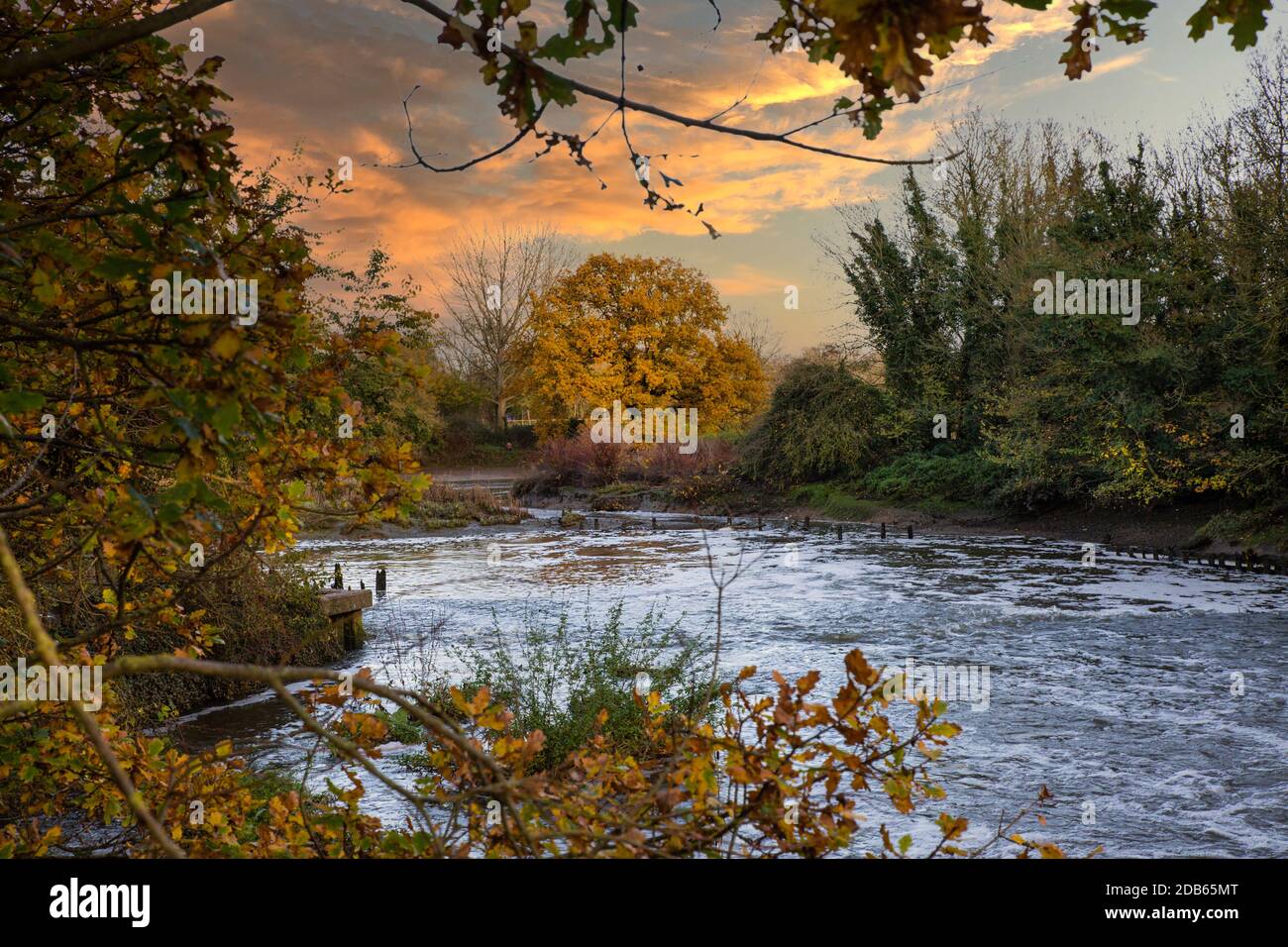 A beautiful autumnal scene at Beeliegh Falls. Beeliegh Falls are located in Maldon, Essex in the UK. and join the River Blackwater and River Chelmer. Stock Photo