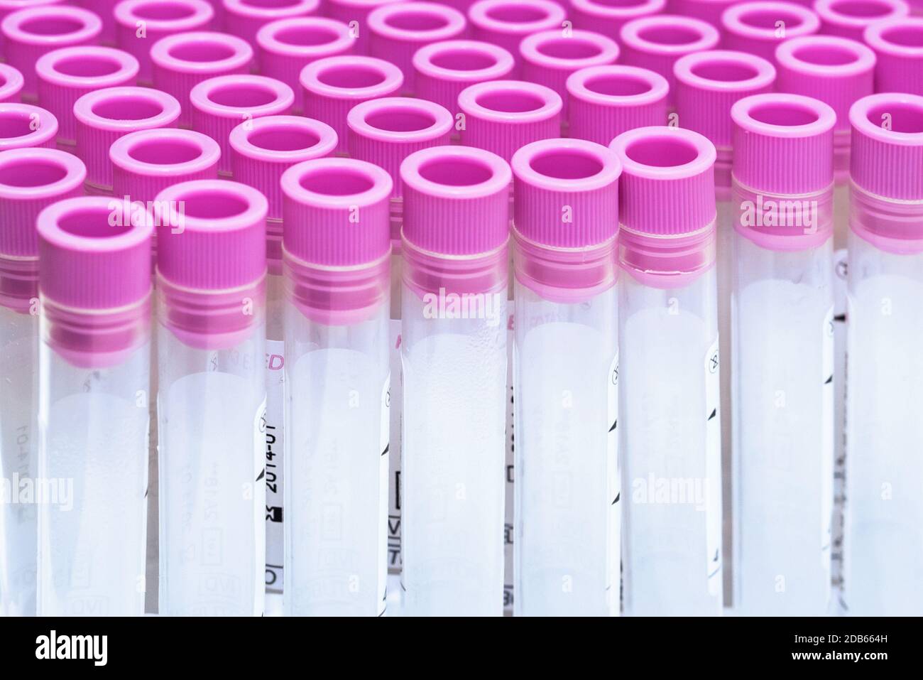 Page 2 Empty Test Tubes High Resolution Stock Photography And Images Alamy Page 2 Empty Test Tubes High Resolution Stock Photography And Images Alamy