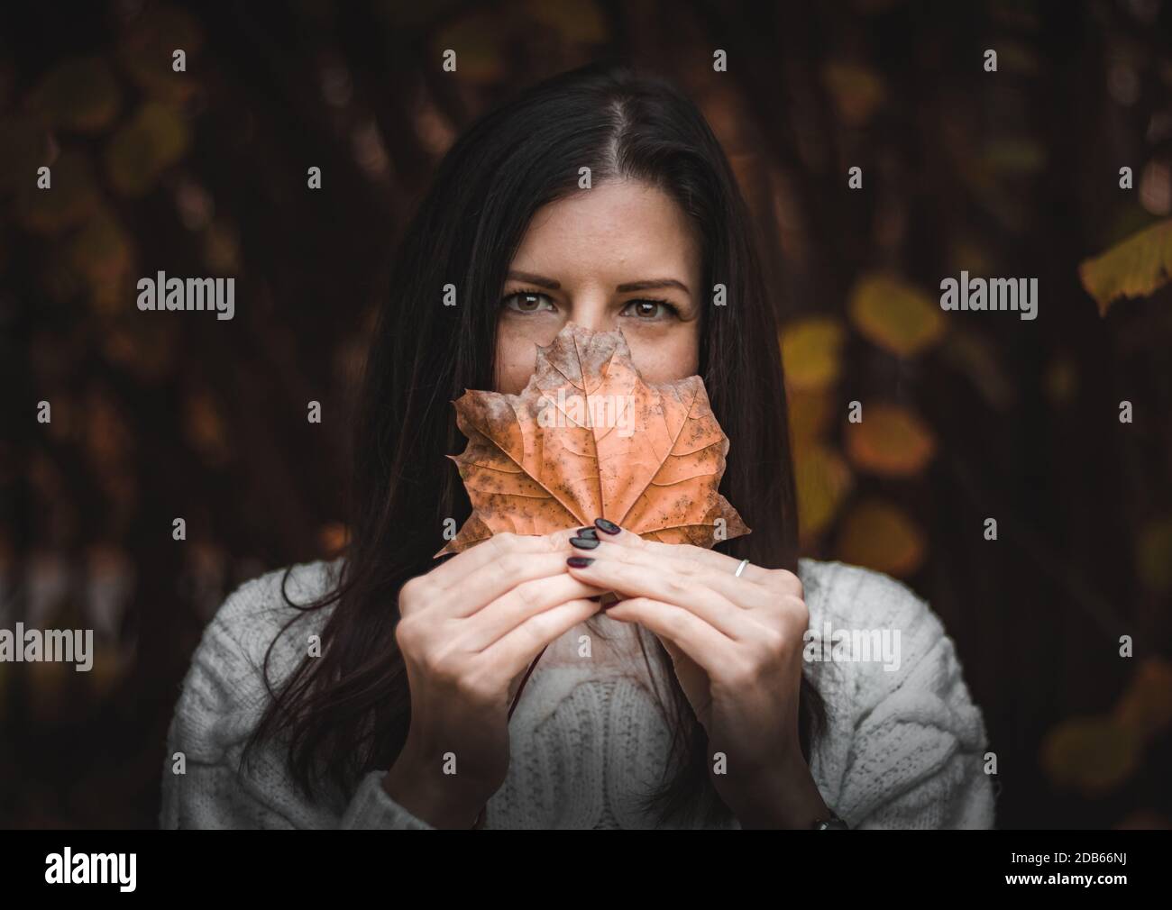 Beautiful autumn portrait Stock Photo