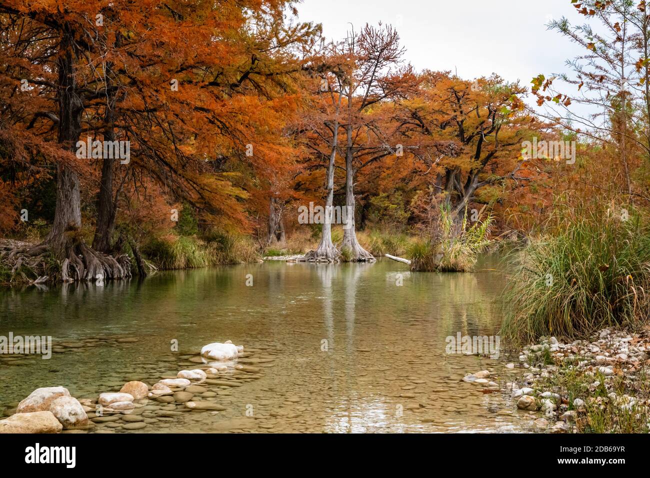 Fall colors in the Texas Hill Country Stock Photo Alamy