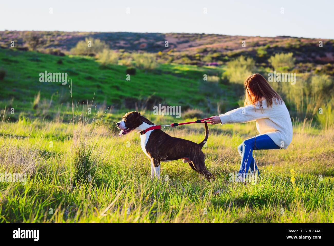 Why Do Dogs Pull On The Leash