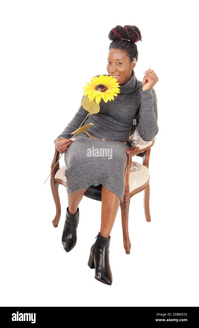 A beautiful young African American woman sitting smiling in a chair holding a yellow sunflower, isolated for white background Stock Photo