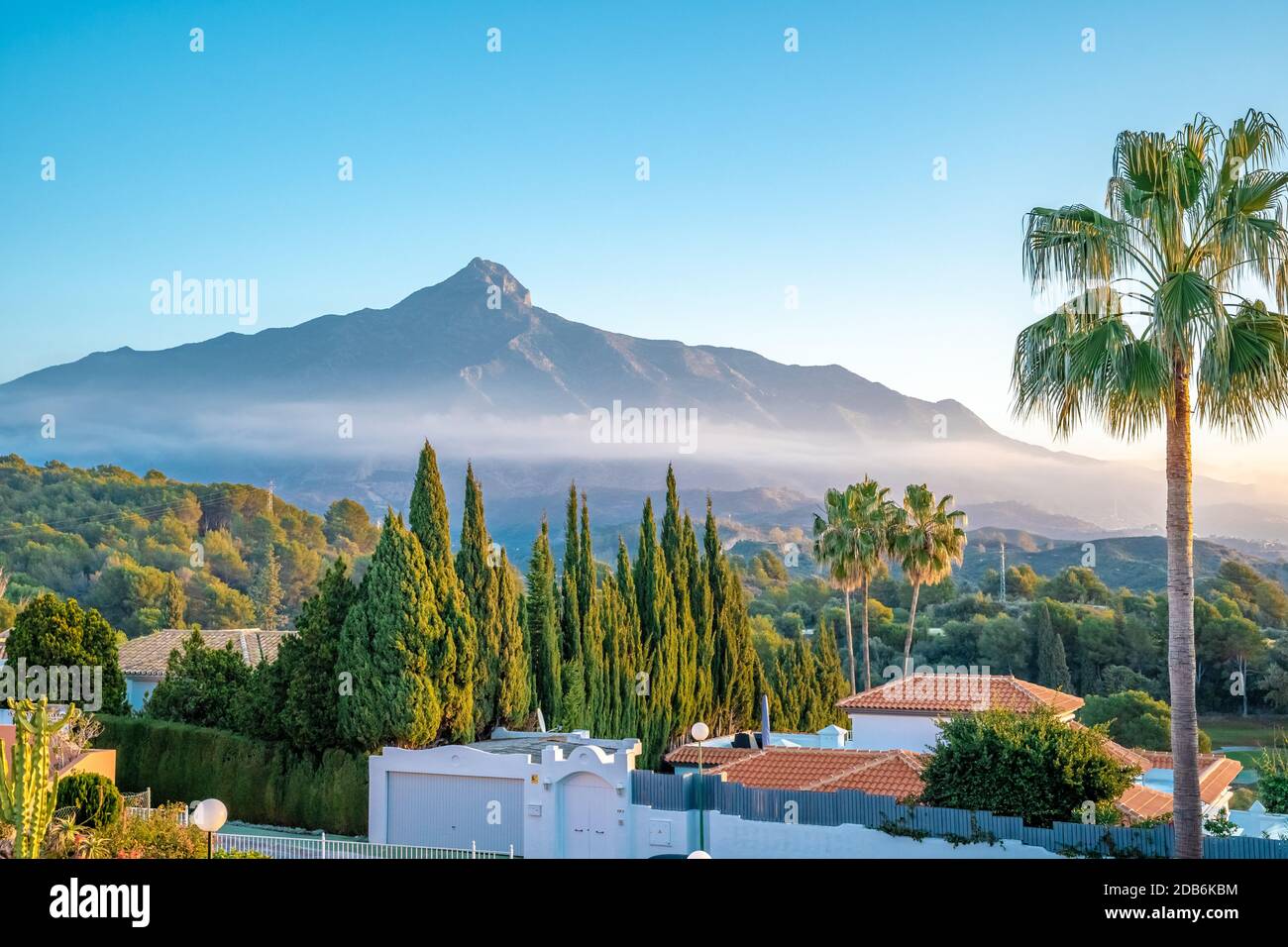 beautiful view of the Spanish mountain La Concha. Palm tree on front