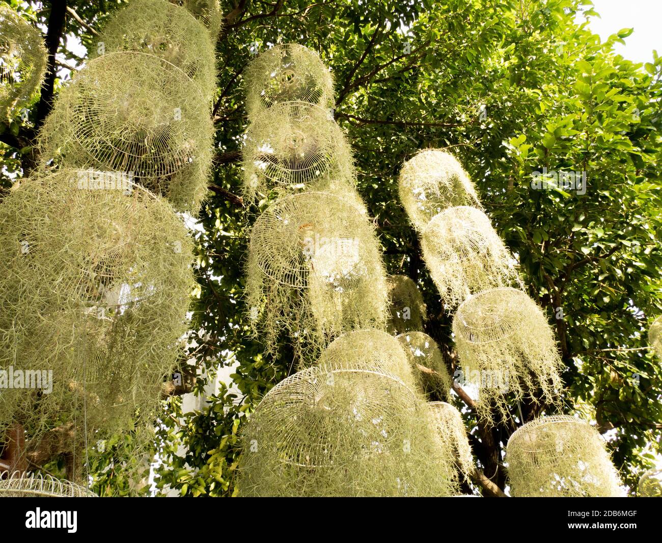Temperate climates hi-res stock photography and images - Alamy