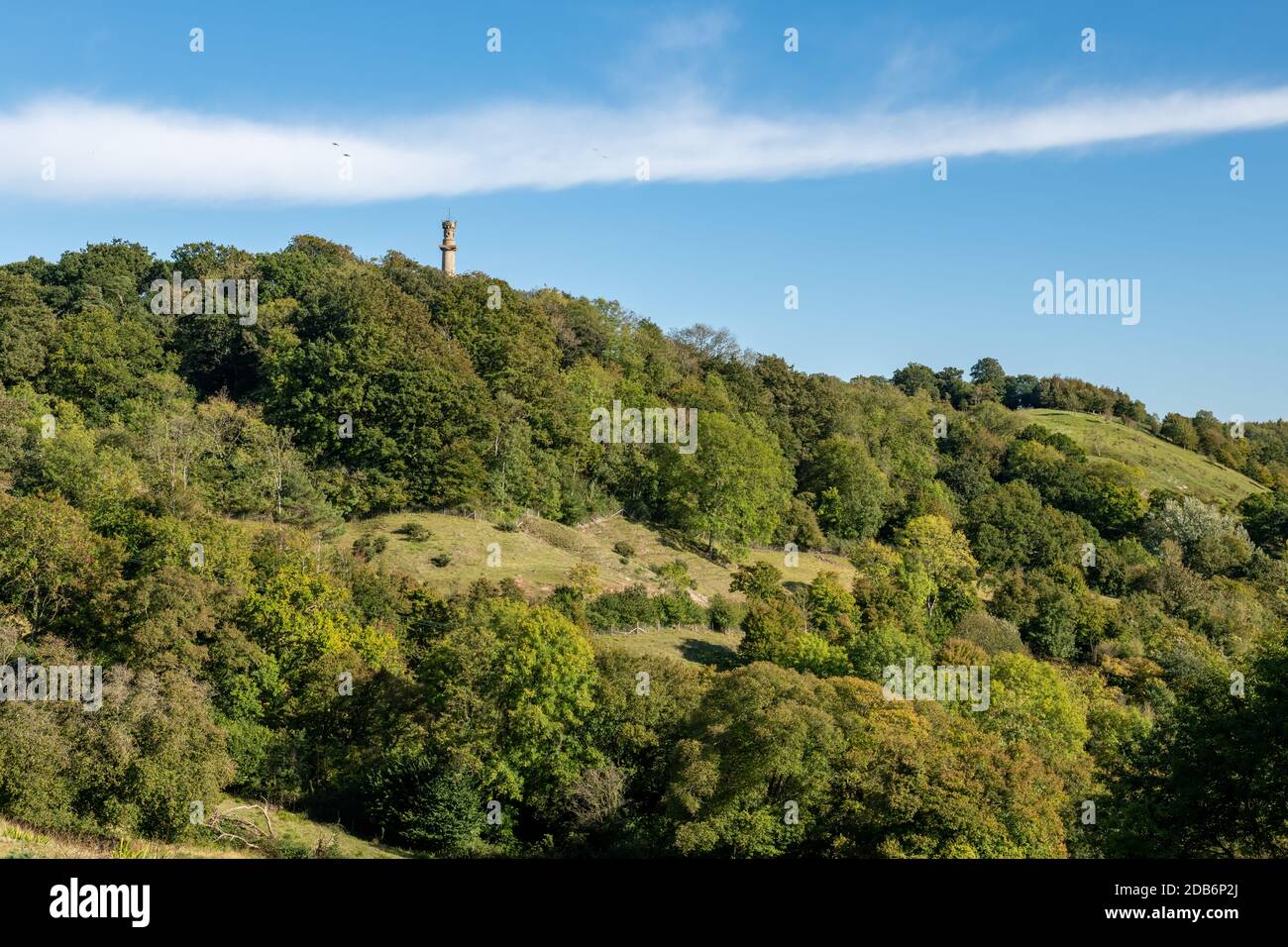 Landscape photo of the Admiral Hood Monument on the Polden Way footpath
