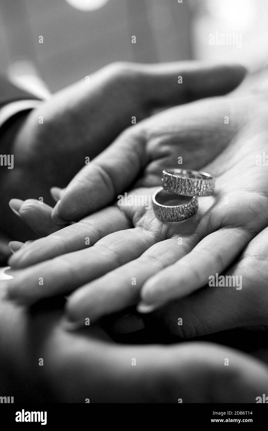 Roses On White Black And White Stock Photos Images Page 3 Alamy