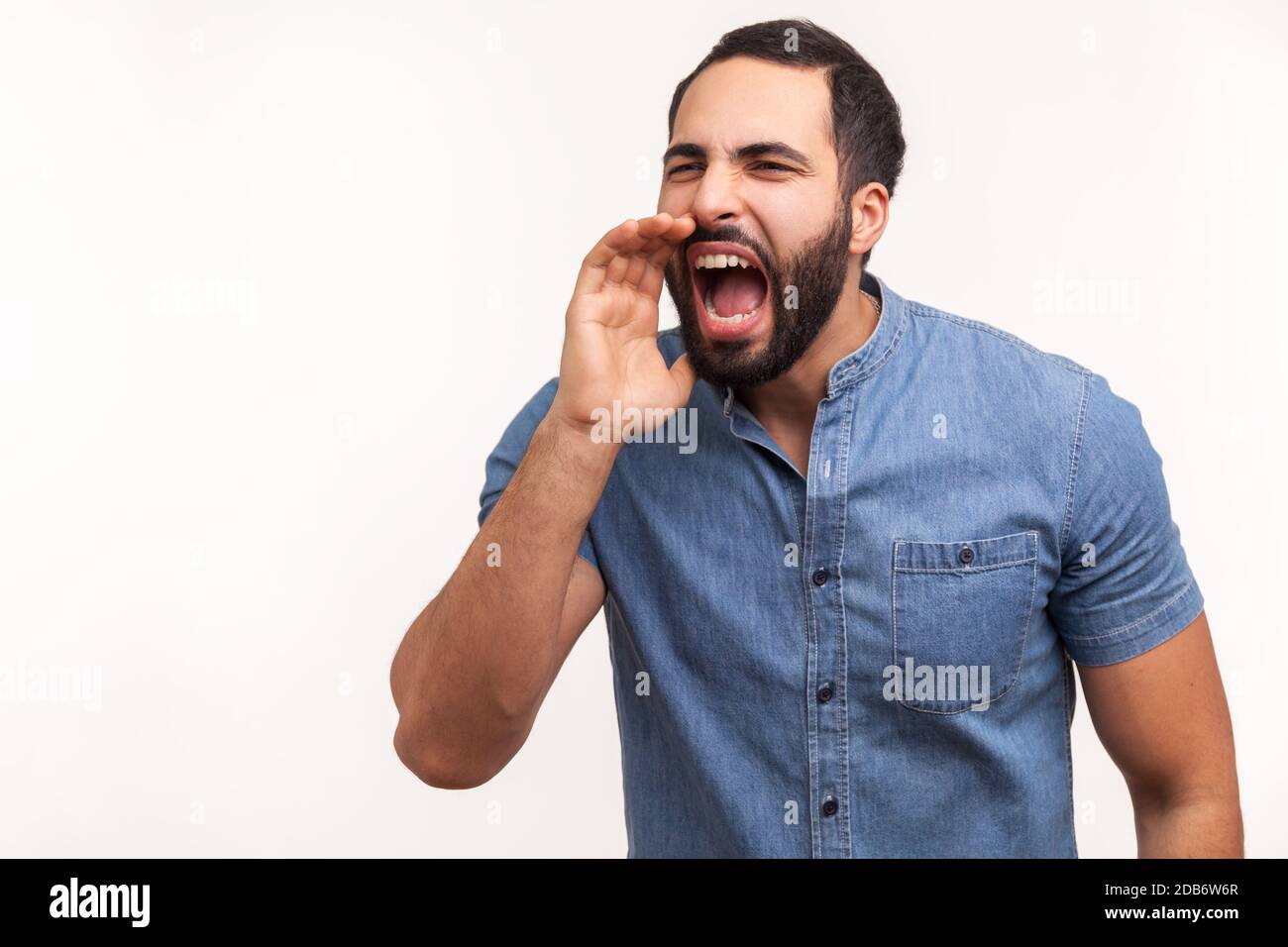 Stressful bearded man in blue shirt loudly speaking holding hand near mouth, aggressively screaming, making important announcement. Indoor studio shot Stock Photo