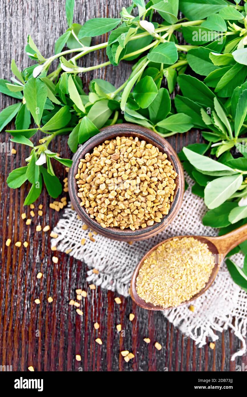 Ground fenugreek in a spoon and seeds in a bowl on burlap with green leaves on wooden board background from above Stock Photo
