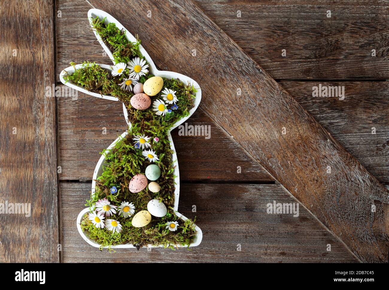 Easter bunny with frsh moss and little daisy flowers Stock Photo