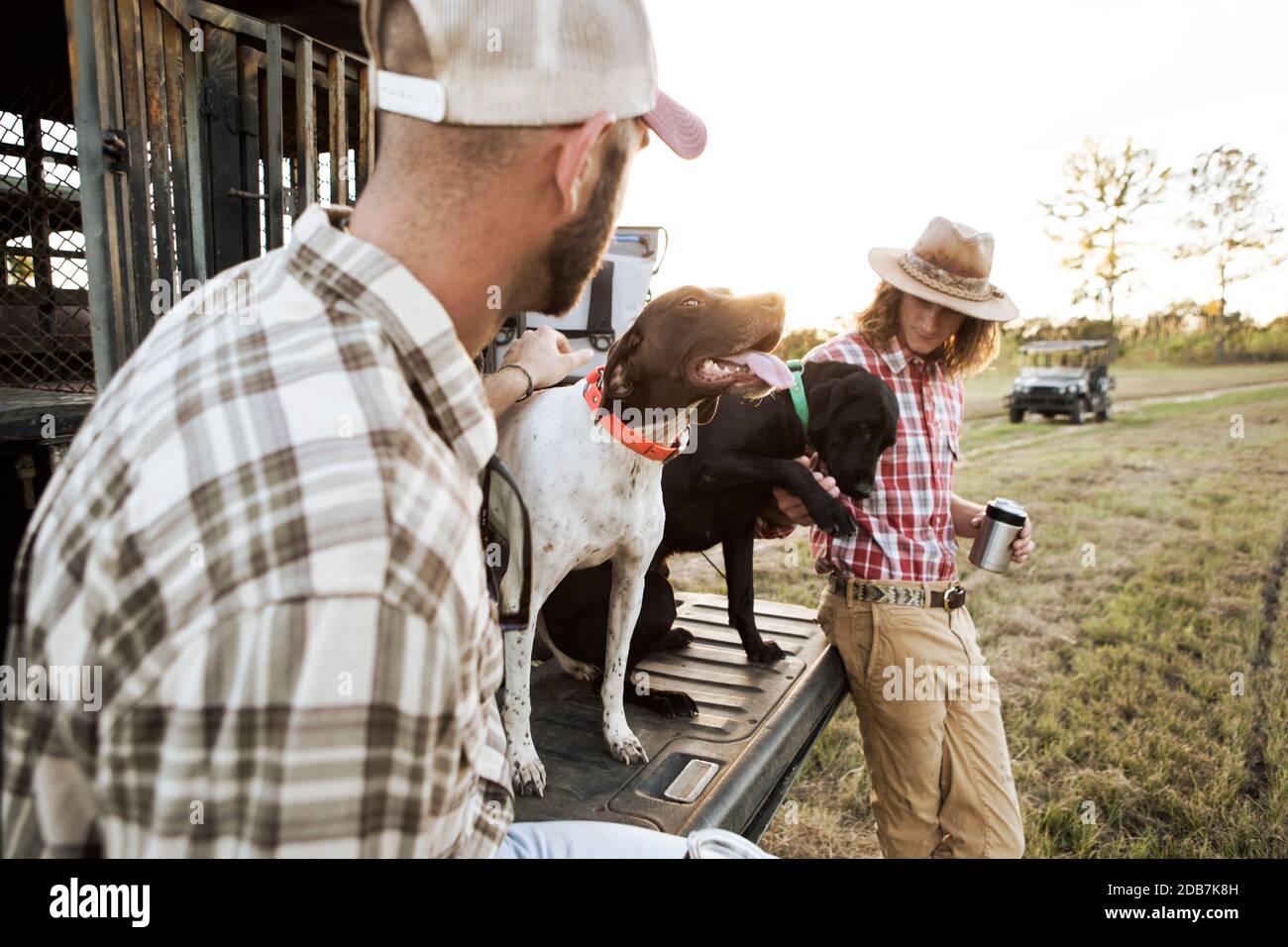 Two people with two dogs near car on hunting, USA Stock Photo Alamy