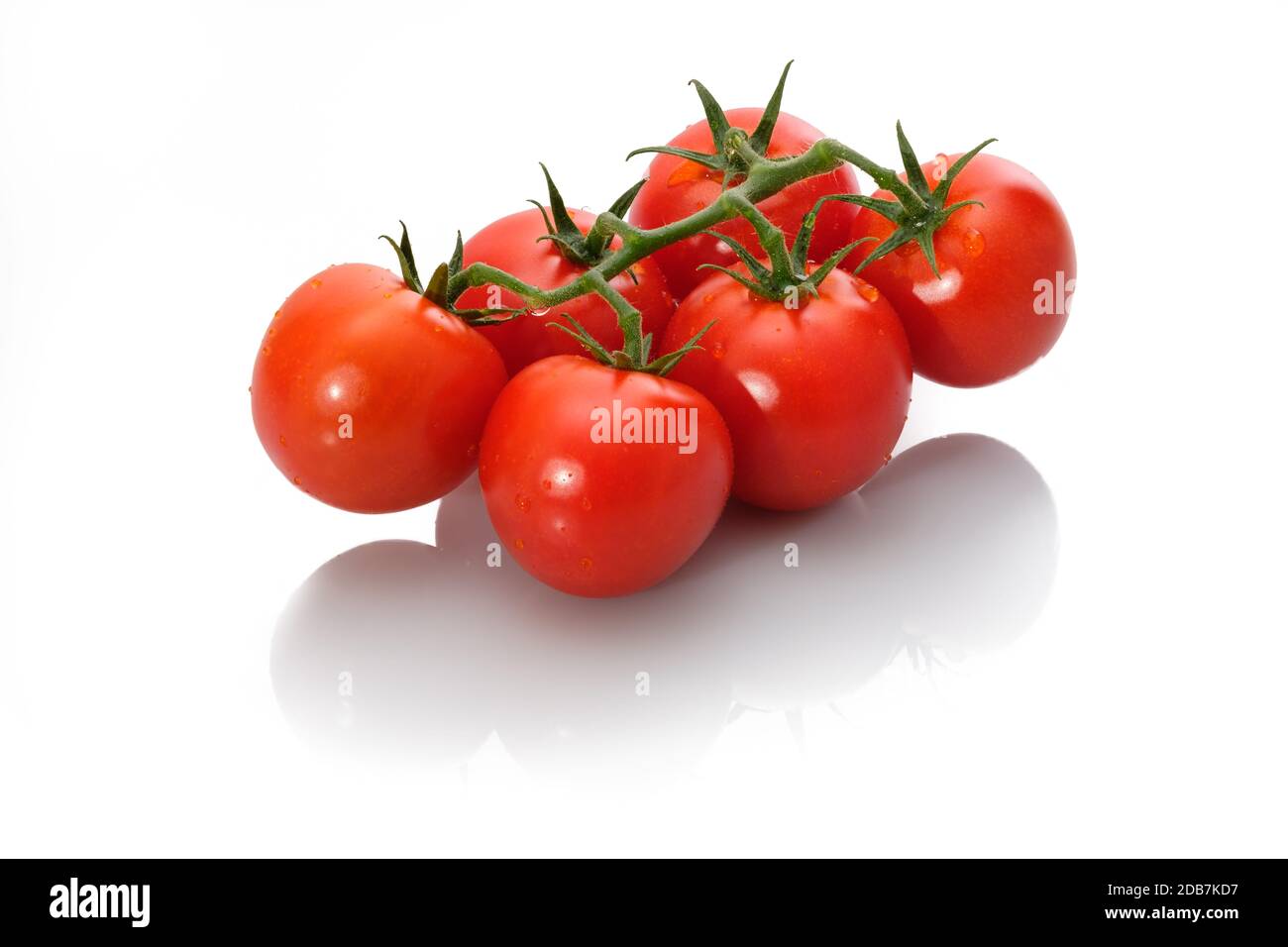Red tomatoes with green and water drops white isolated Stock Photo - Alamy