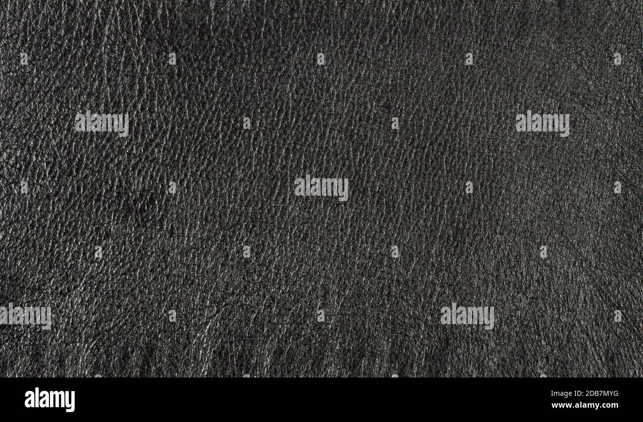 Shiny leather hi-res stock photography and images - Alamy