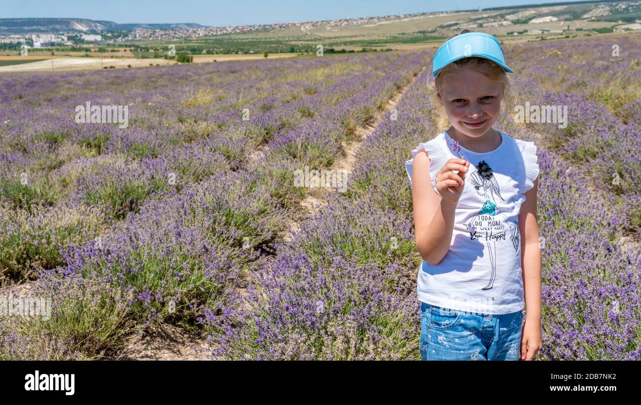 Glasses chamelleons cheerful in a lavender field looks cheerful with a beautiful appearance stands Stock Photo