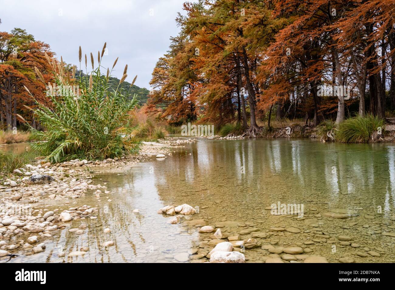Fall colors in the Texas Hill Country Stock Photo Alamy