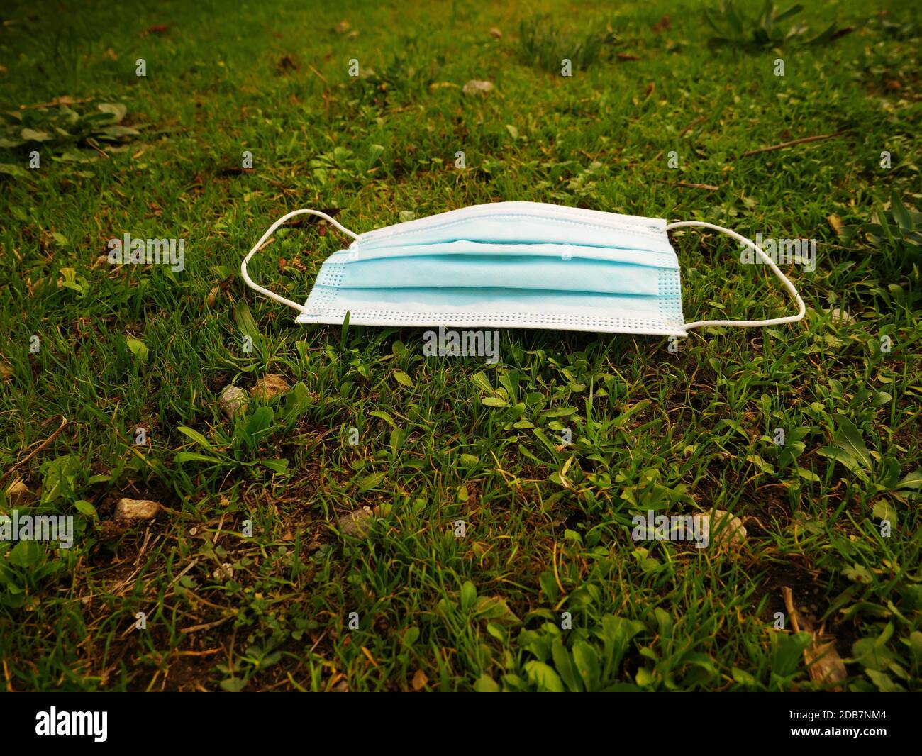Mask for protection against diseases thrown in the lawn Stock Photo Alamy