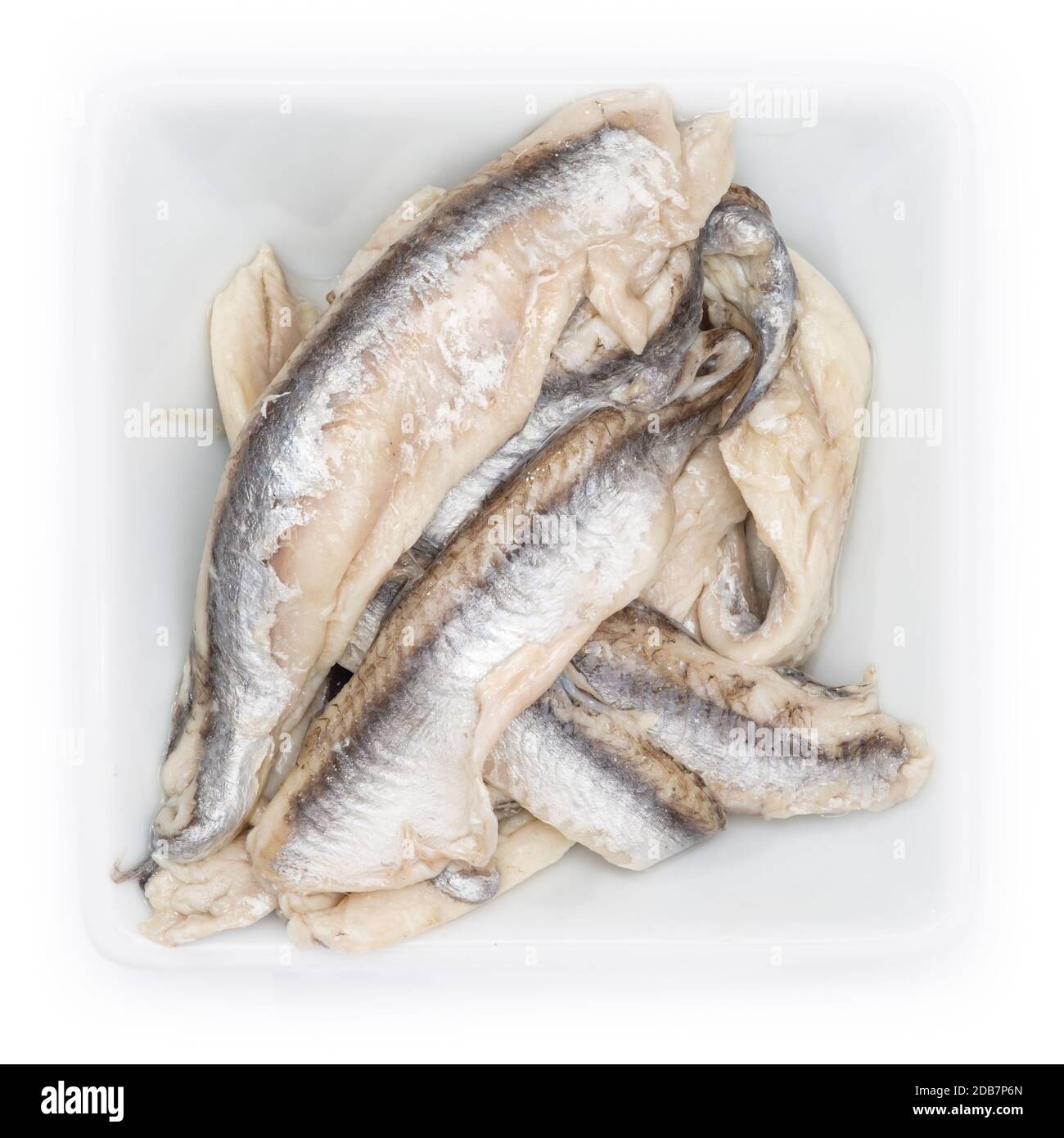 Sardine anchovy fish raw in a white bowl in top view Stock Photo