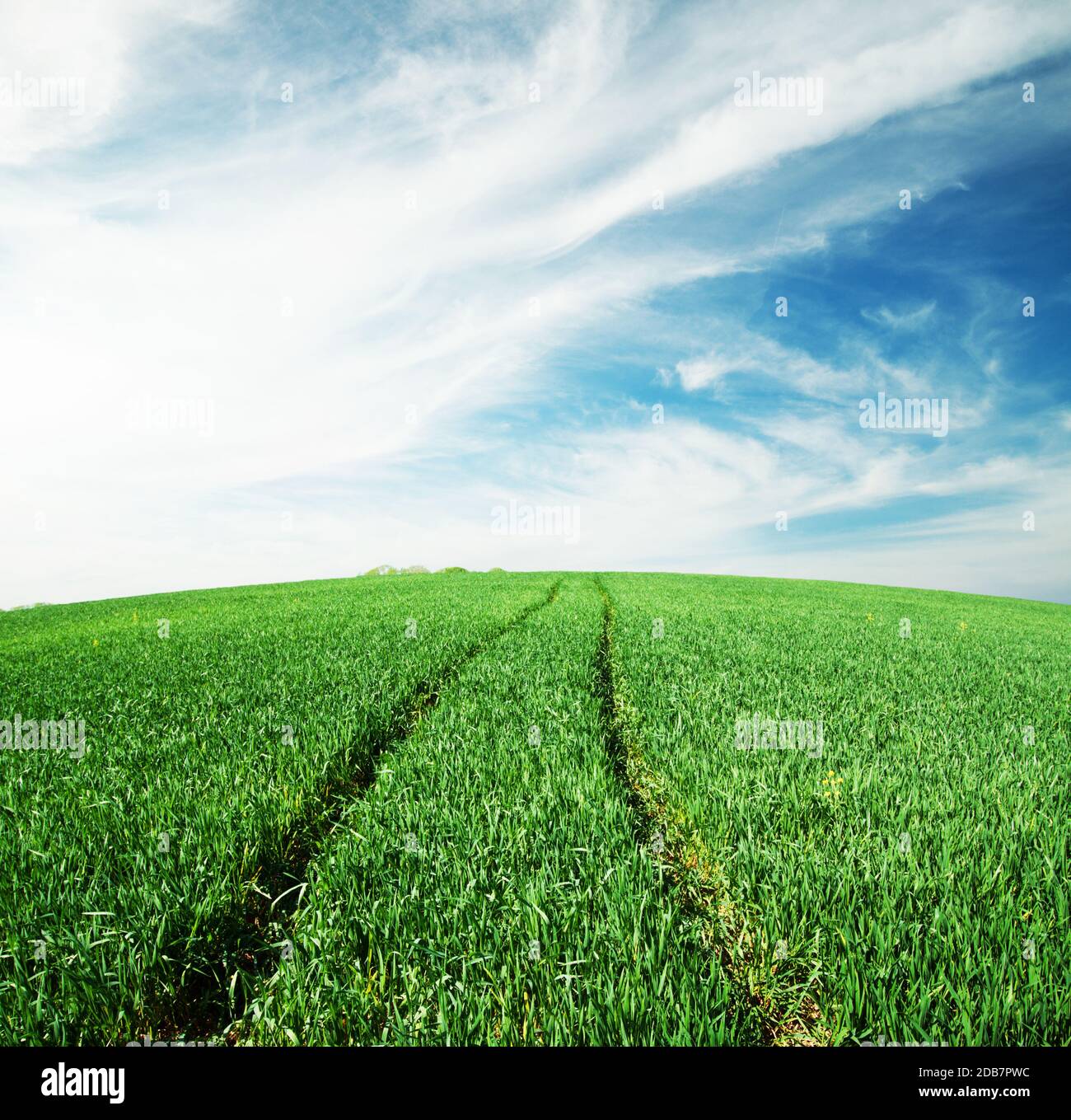 Road in green field under cloudy sky Stock Photo - Alamy