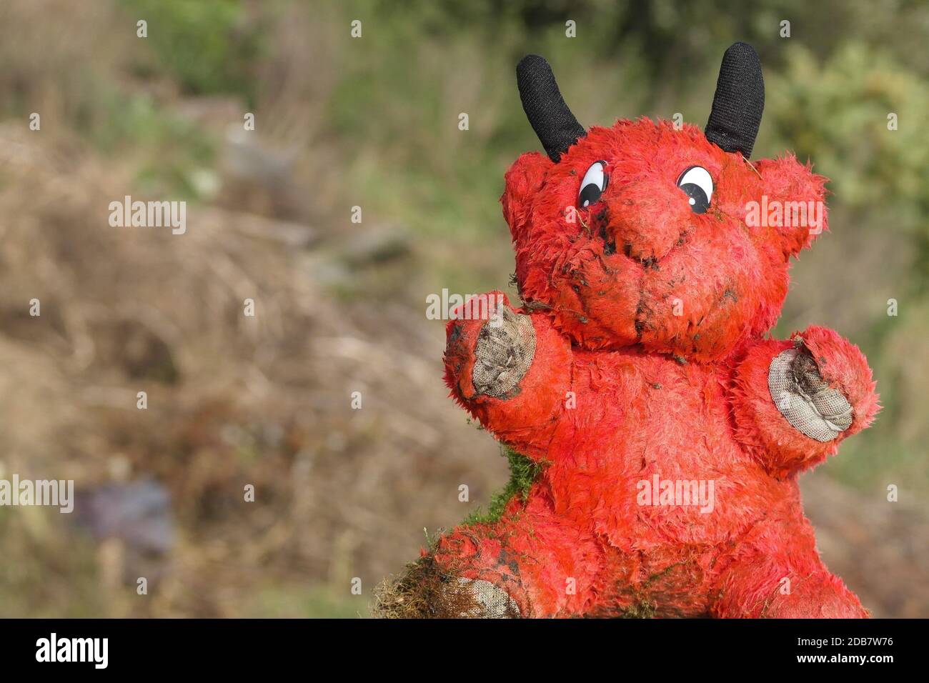 Soft toy as discarded waste at the nature, overgrowned by moss. Red