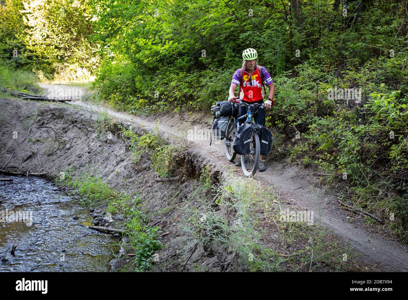 WA18140-00...WASHINGTON - Cyclist walking his heavily loaded bicycle along a washed out section of Road 7100 along the East Fork Mission Creek. Stock Photo