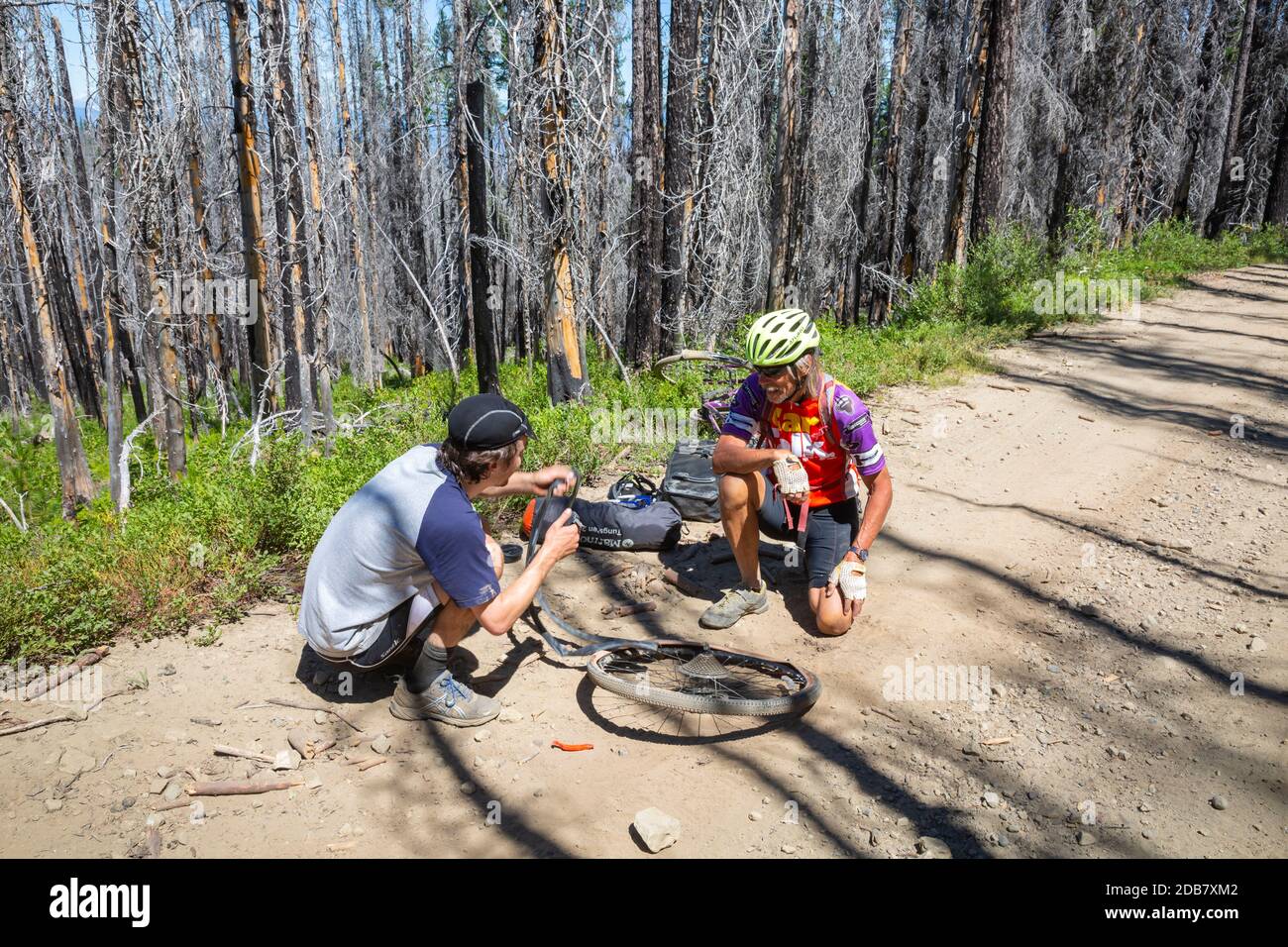 WA18143-00...WASHINGTON - Tom helping and instructing a weekend rider on how to fix a flat tire on Road 9712 on Table Mountain in the Wenatchee Nation Stock Photo