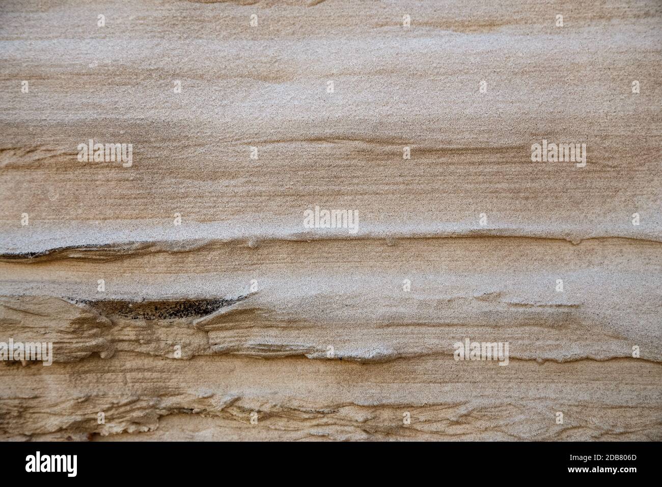 The texture of shale sandstone on the Baltic Sea. The shore is washed out by storms. Stock Photo