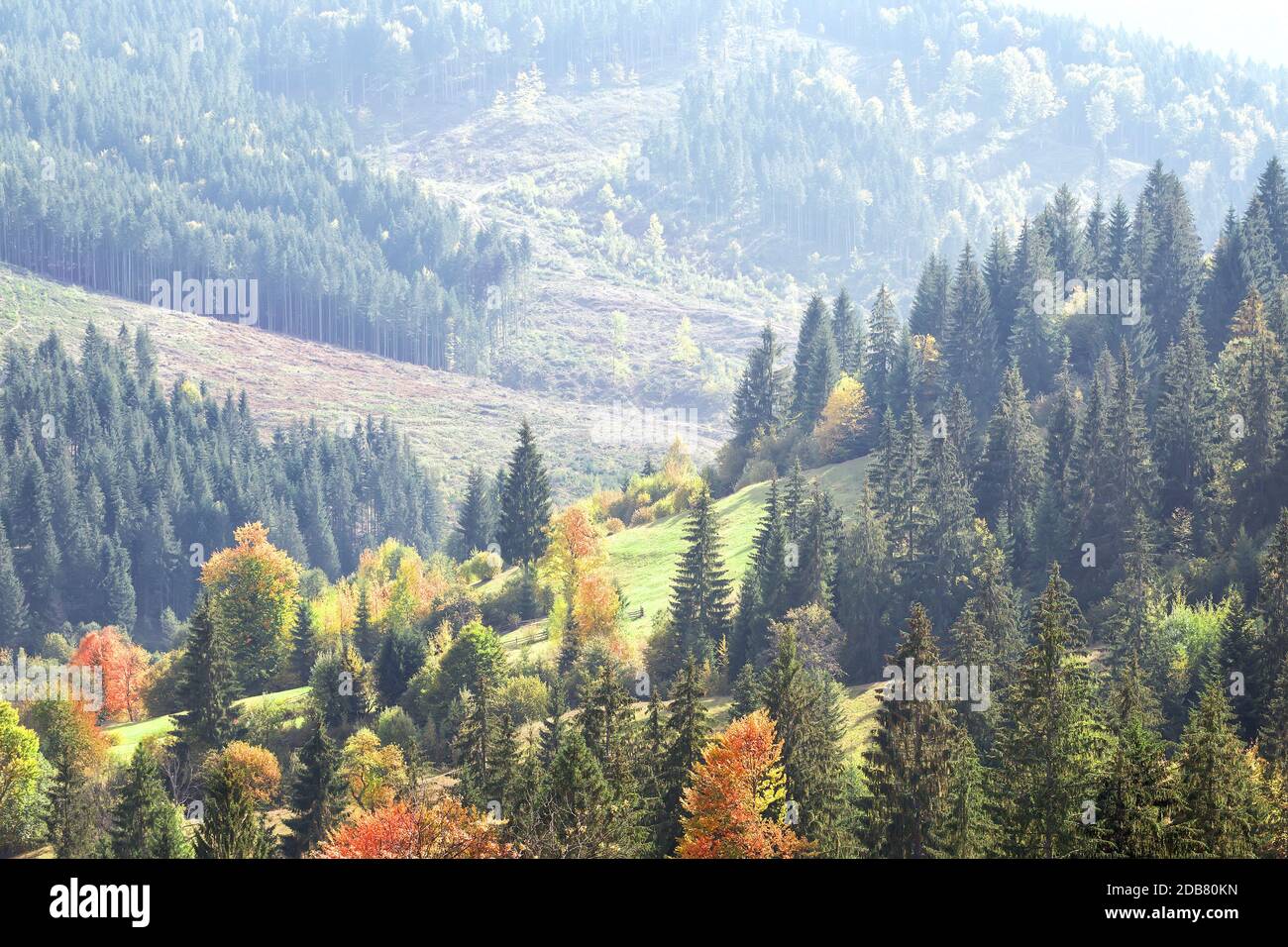 Autumn wooded slopes of mountains in morning sun Stock Photo