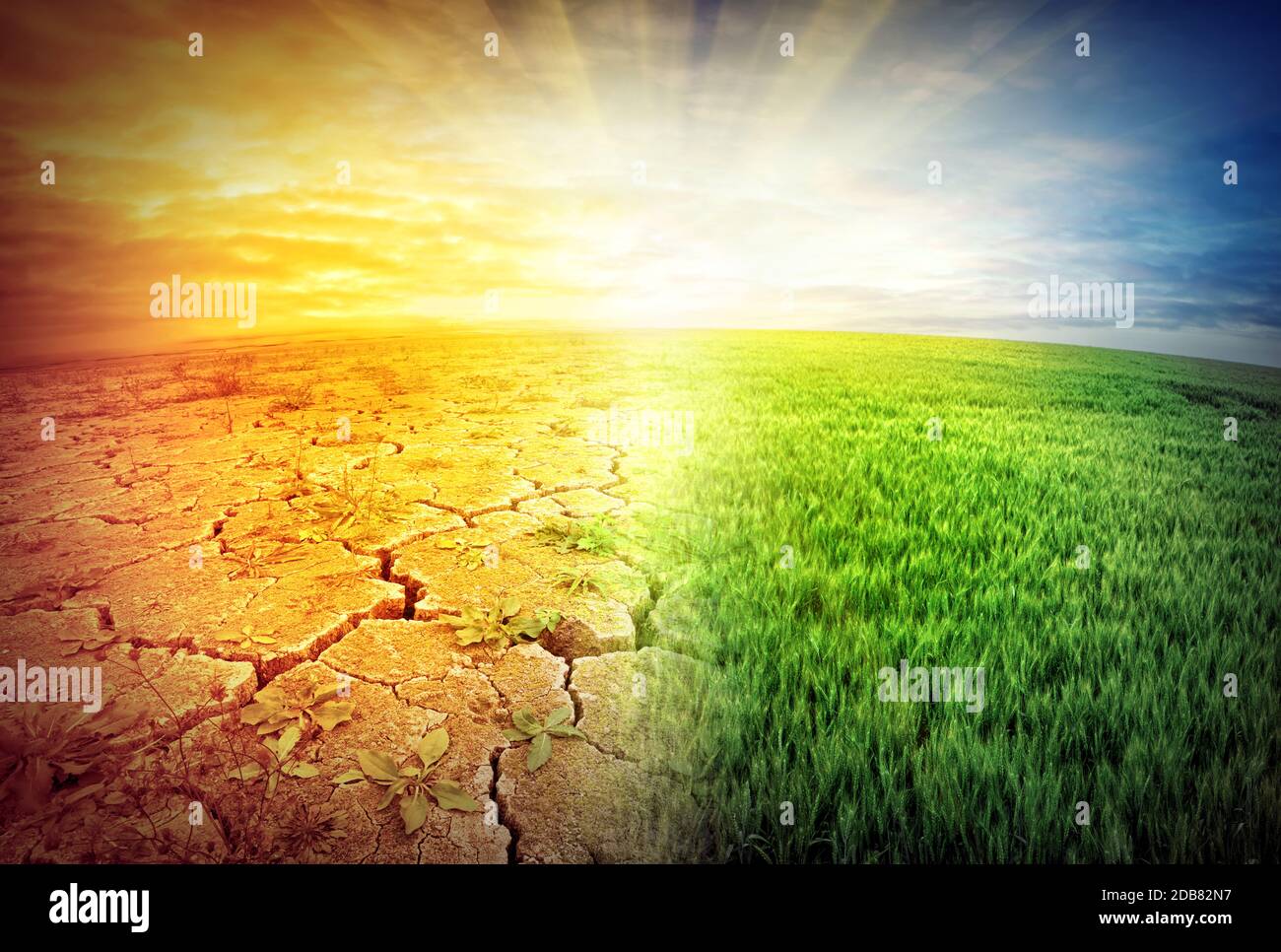 Cracked and fertile land on planet under bright sky Stock Photo