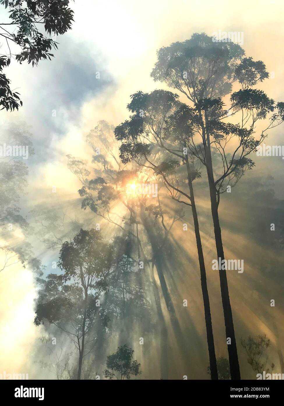 Smoke with sunlight from a bushfire in Australia Stock Photo - Alamy