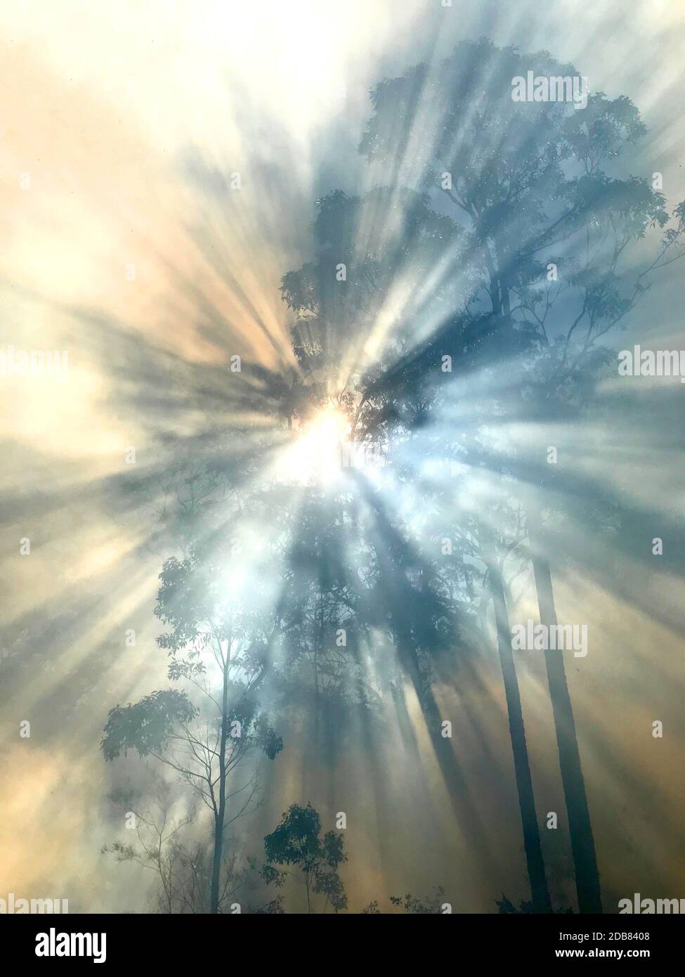 Smoke with sunlight from a bushfire in Australia Stock Photo - Alamy