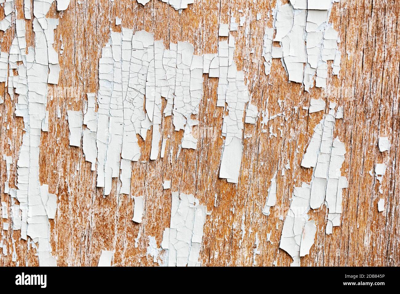 Background from old boards with remains of the white paint Stock Photo ...