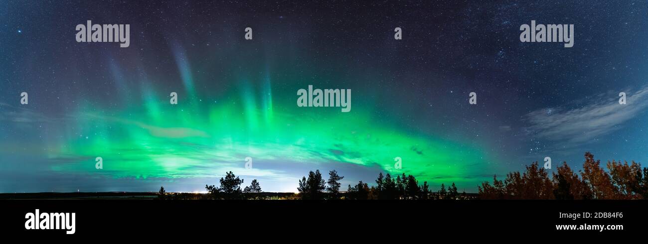 Beautiful Aurora Borealis panorama photo across the whole horizont, above pine tree forest and city lights in Swedish countryside close to Umea city, Stock Photo