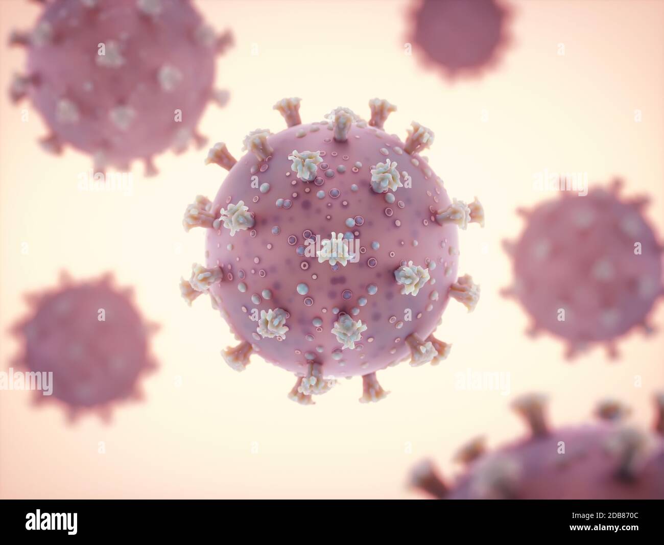 Viral structure. Viral particle is made up of a nucleus of nucleic acid