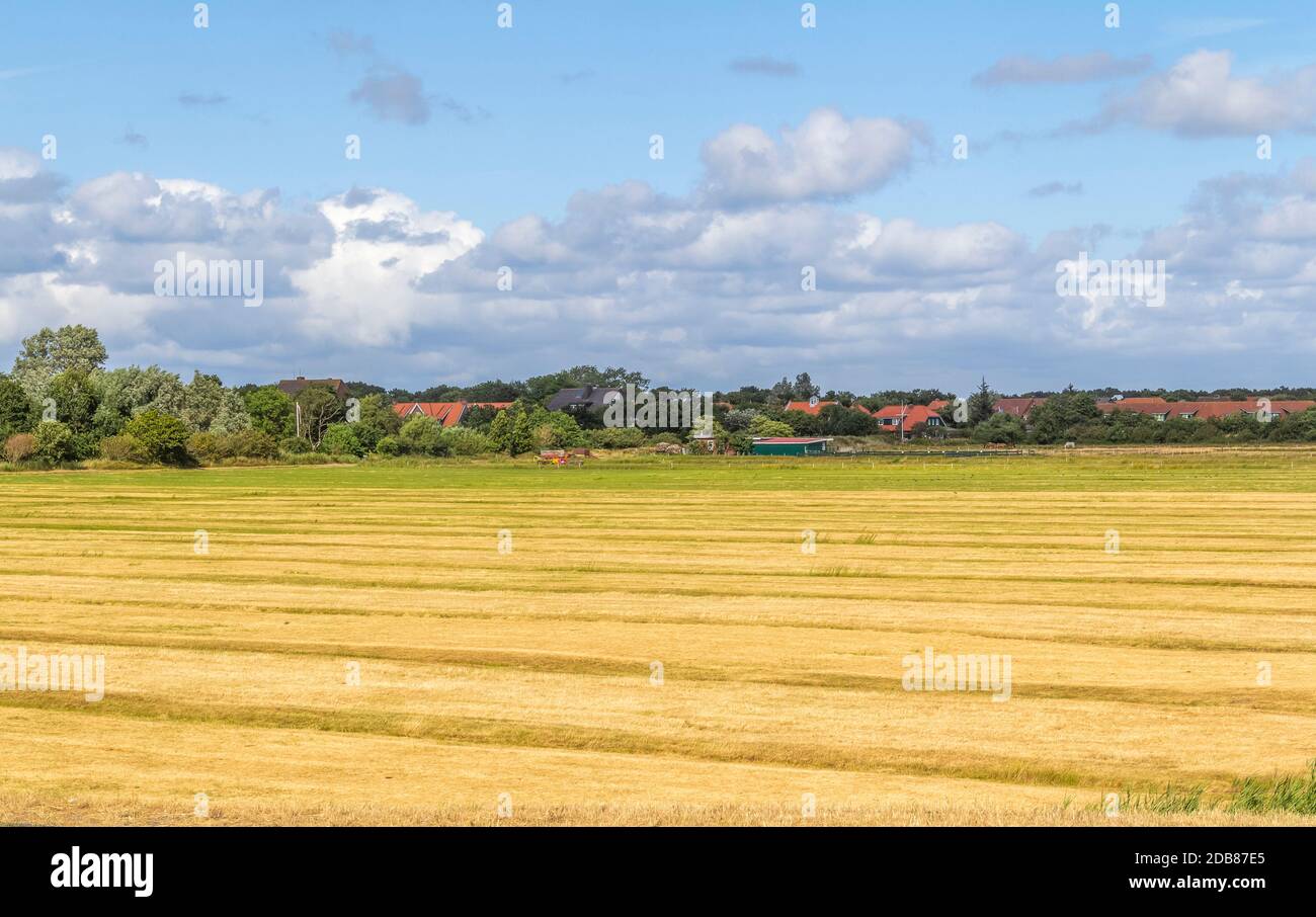 impression of Spiekeroog, one of the East Frisian Islands at the North Sea coast of Germany Stock Photo