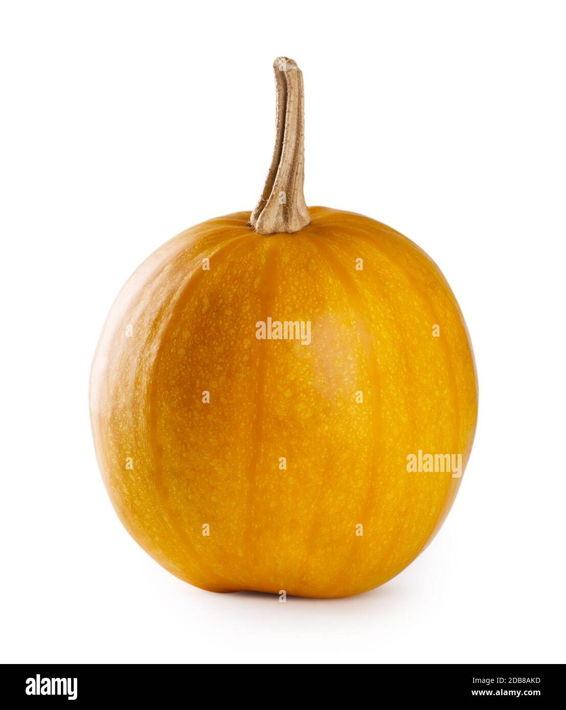 Ripe autumn pumpkin isolated on white background Stock Photo