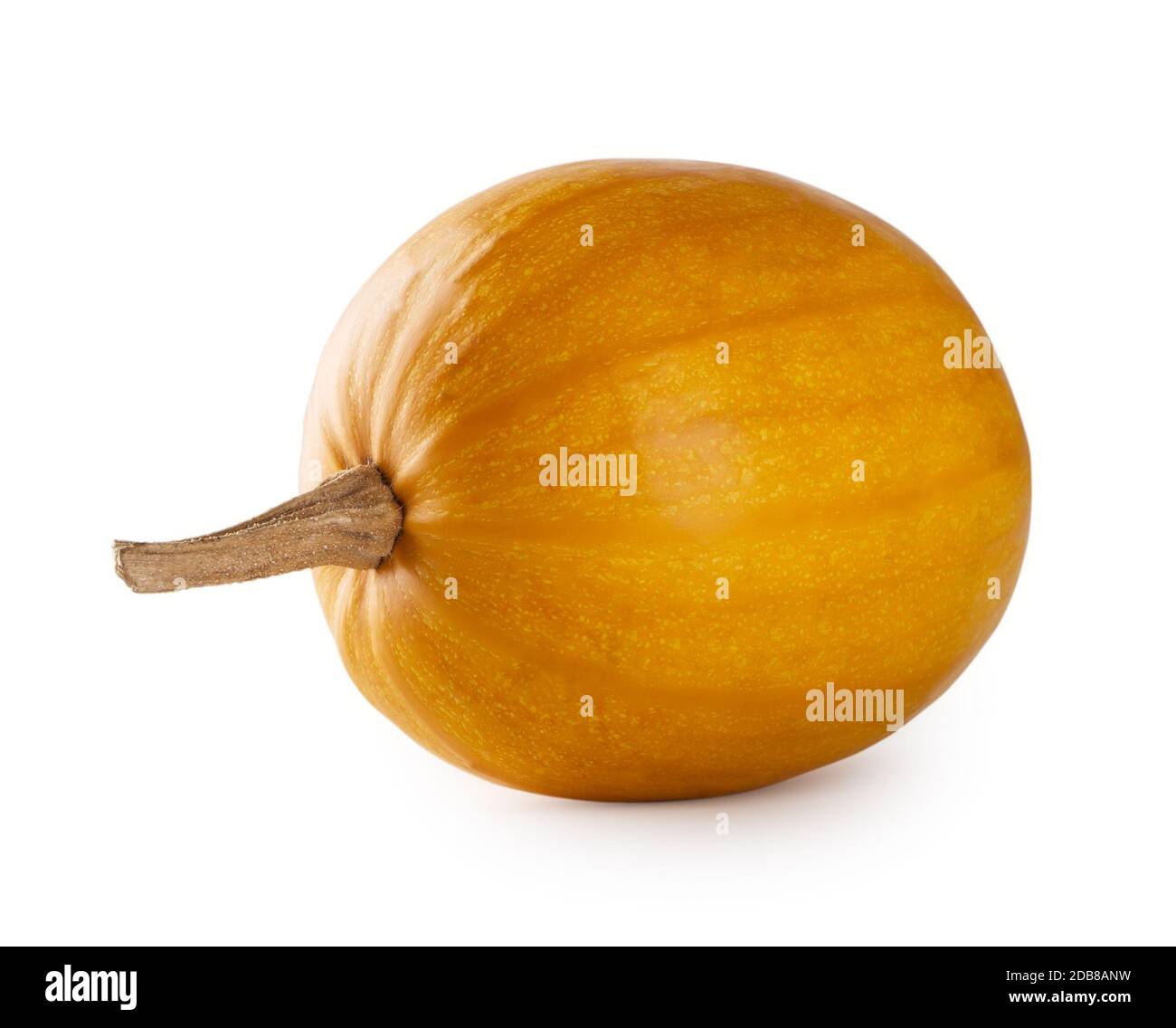 Yellow Black pumpkin