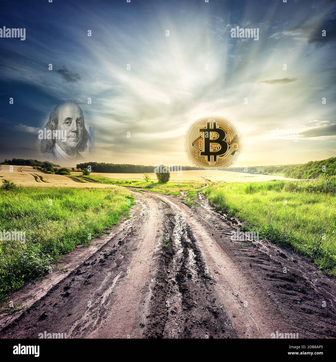 Divergent road in the field leading to bitcoin and the dollar. The road in  the field leads to bitkoinu shining as the rising sun. The concept of a new  Stock Photo -