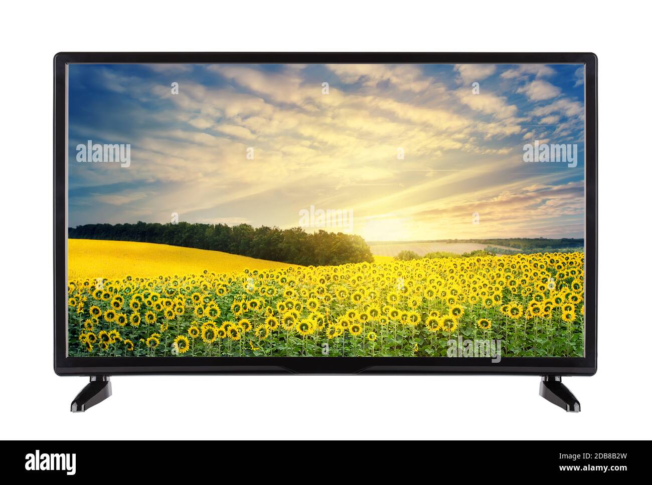 Modern high-definition TV with landscape with sunflowers on the screen. Isolated on white. Stock Photo